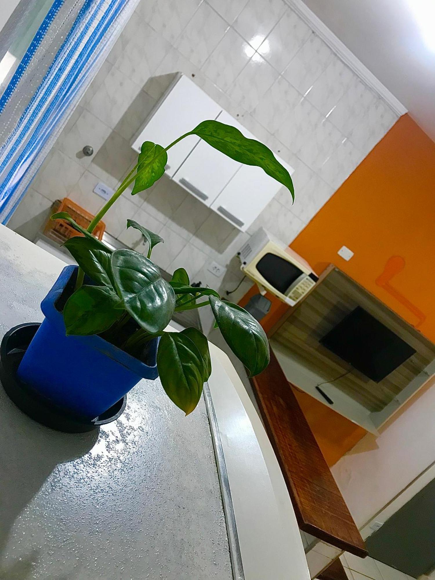Apartamento Ape Do Rafa 2 - Grande